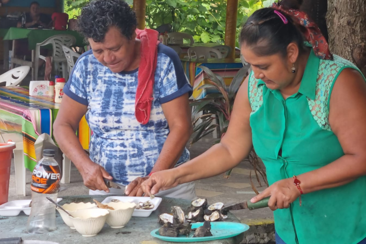 Ostiones contaminados en Tabasco, Foto: Especial