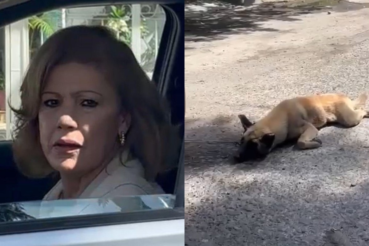 La mujer arrastró al perro durante varios metros Foto: 'X'(Twitter) @JeSuisLaBOA