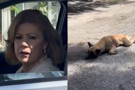 Detienen a mujer que arrastró a un perrito con su camioneta en Tlaquepaque