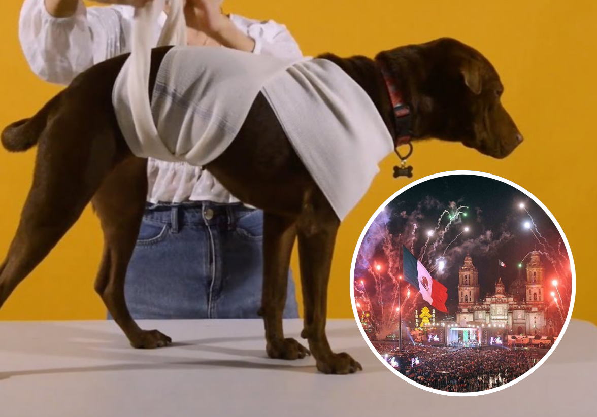 El ruido de los fuegos artificiales puede ser una pesadilla para los perros. Conoce estrategias para aliviar su estrés y mantener a tu mascota cómoda durante el espectáculo. Foto: Especial POSTA