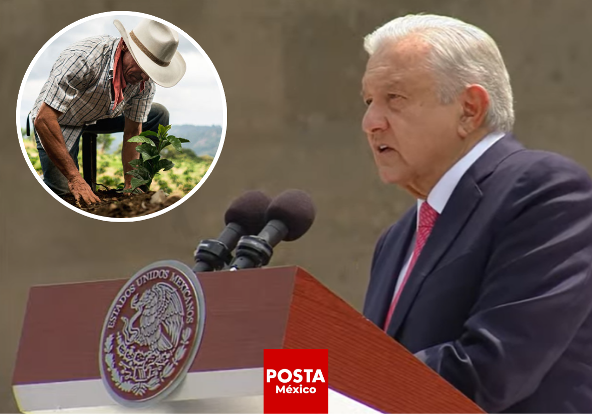 López Obrador resaltó que 'Sembrando Vida' ha marcado un hito en la reforestación global, beneficiando a 430 mil campesinos y logrando la plantación de más de mil millones de árboles. Foto: Especial