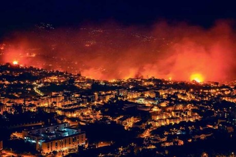 Incendios en Portugal han cobrado la vida de siete personas; se prevé aumento