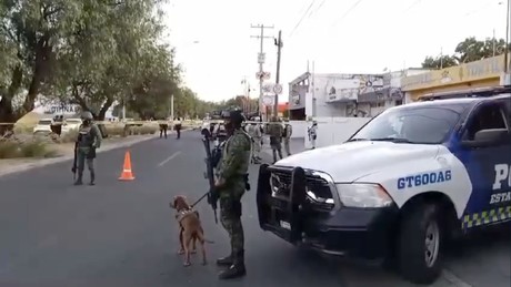 Ejecutan a tres policías y dos civiles en Celaya