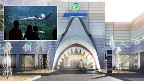 Aquarium de Veracruz reabre sus puertas: fecha, costo y atracciones