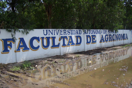 Abandonan cuerpos en Universidad Autónoma de Sinaloa