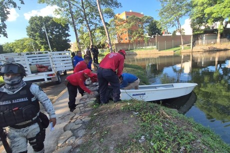 Villahermosa registra al menos 5 ataques de cocodrilos en 4 años; conoce los detalles de cada caso