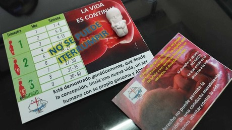 Sentencia para despenalizar aborto en Chiapas se cumplirá, señala diputada Elvira Aguilar