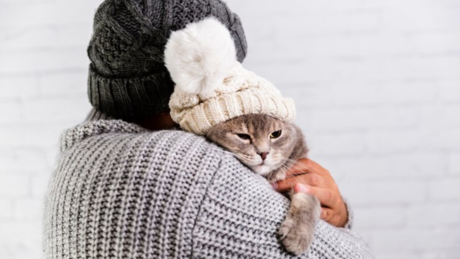 ¿Cómo proteger a tu mascota durante la temporada de frío?