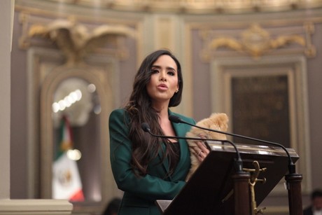 Diputada de Puebla propone custodia de 'perrijos' tras un divorcio