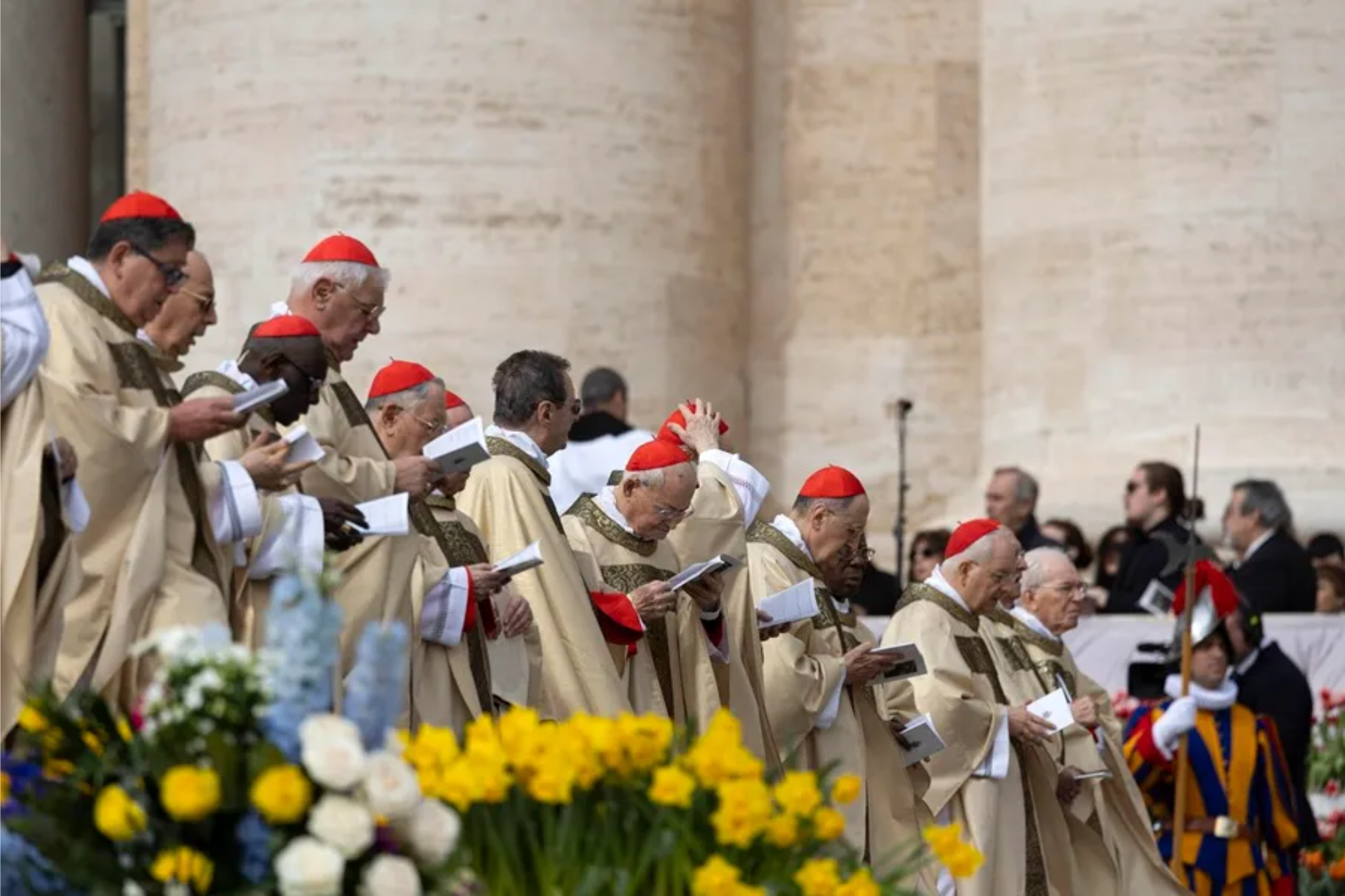 Varios cardenales durante la ceremonia que presidió el Papa Francisco en el Vaticano. Foto: EFE