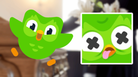 Duolingo confirma la muerte de ‘Duo’ su mascota, ¿qué le pasó?